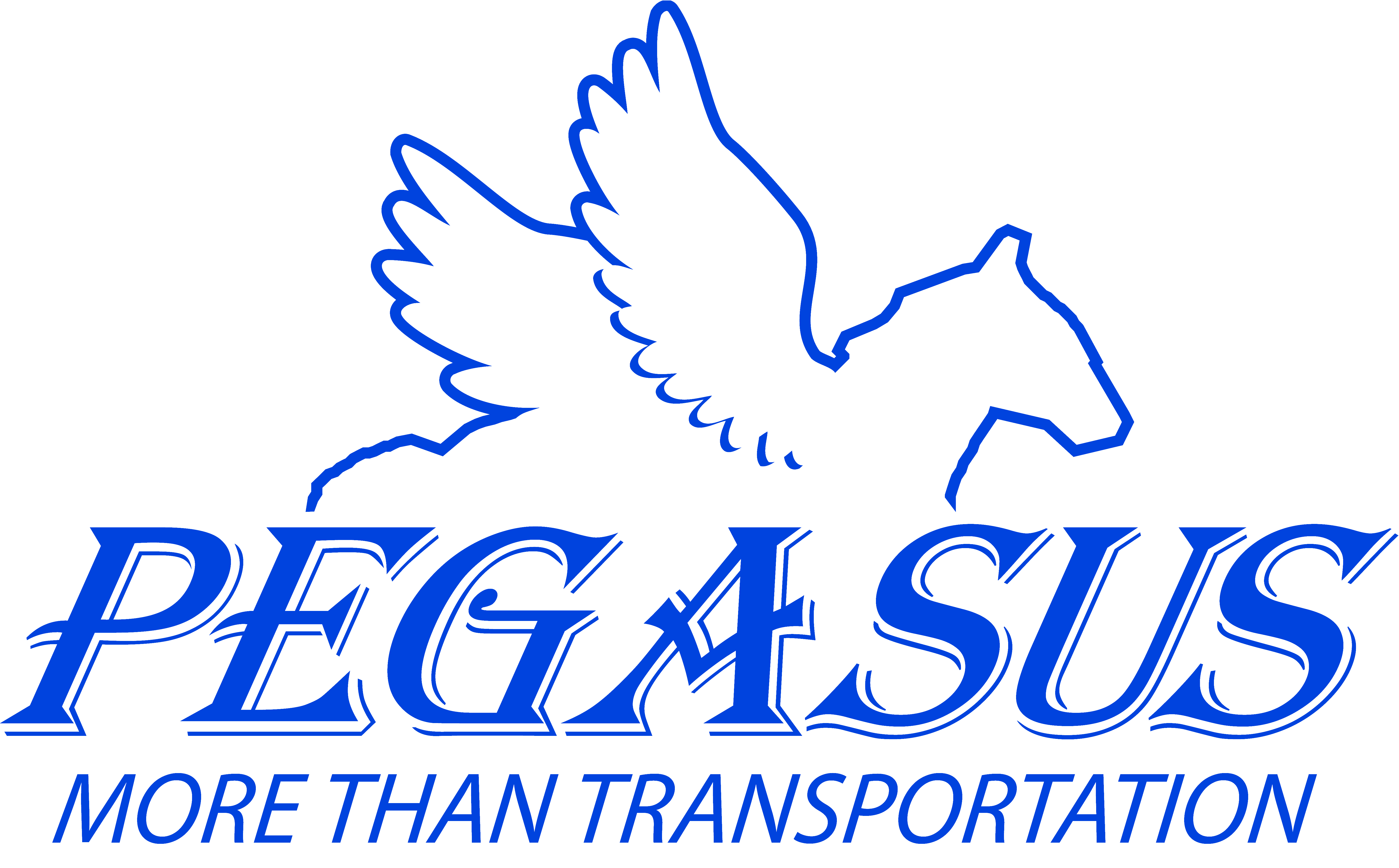 pegasus travel srl